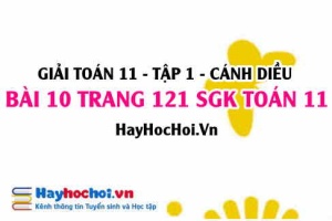 Giải bài 10 trang 121 Toán 11 tập 1 SGK Cánh Diều